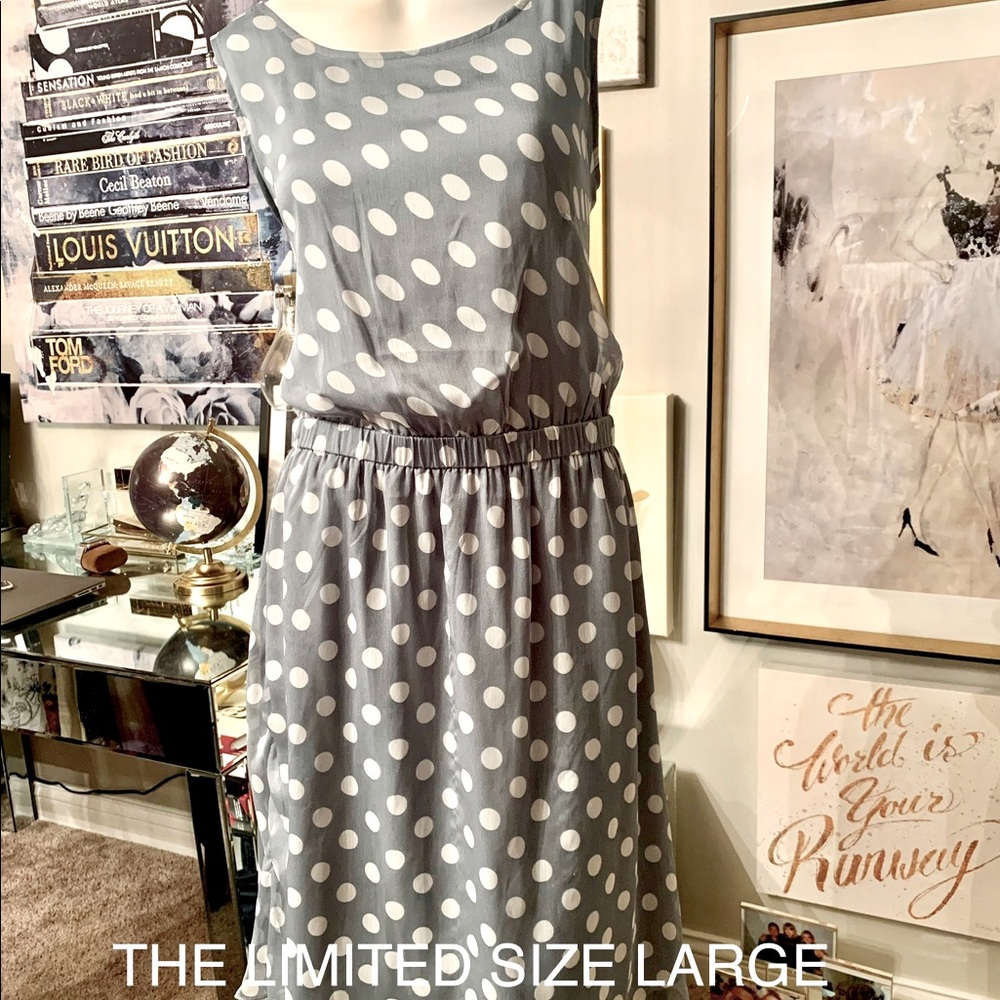 Dusty blue polka dot dress from The Limited